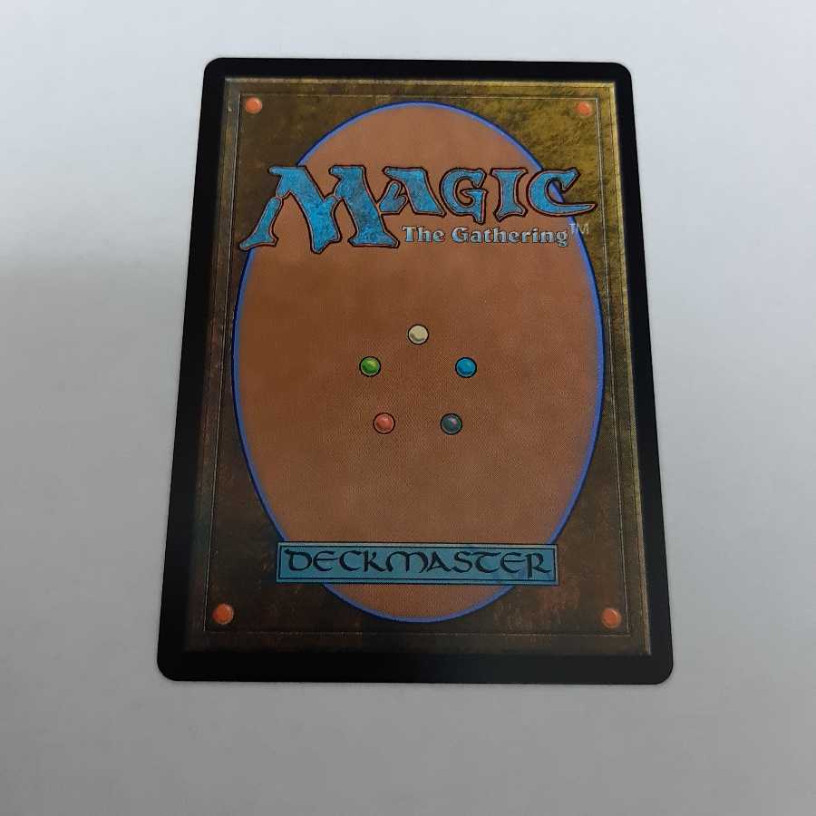 緻密　通常版　日本語