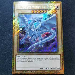 遊戯王/青眼の白龍/英語版/ゴルシク/即購入ok♪