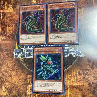 遊戯王★捕食植物オフリス・スコーピオ、ダーリング・コブラ★三枚セット★