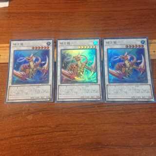 瑚之龍 スーパーレア 3枚