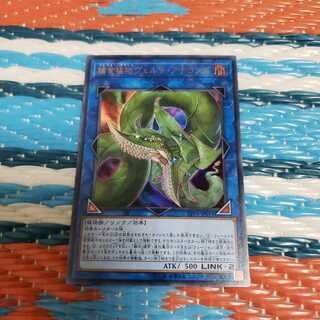 捕食植物ヴェルテ・アナコンダ ウルトラレア