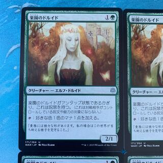 MTG 4 Paradise Druid