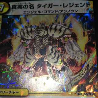 真実の名 タイガー・レジェンド