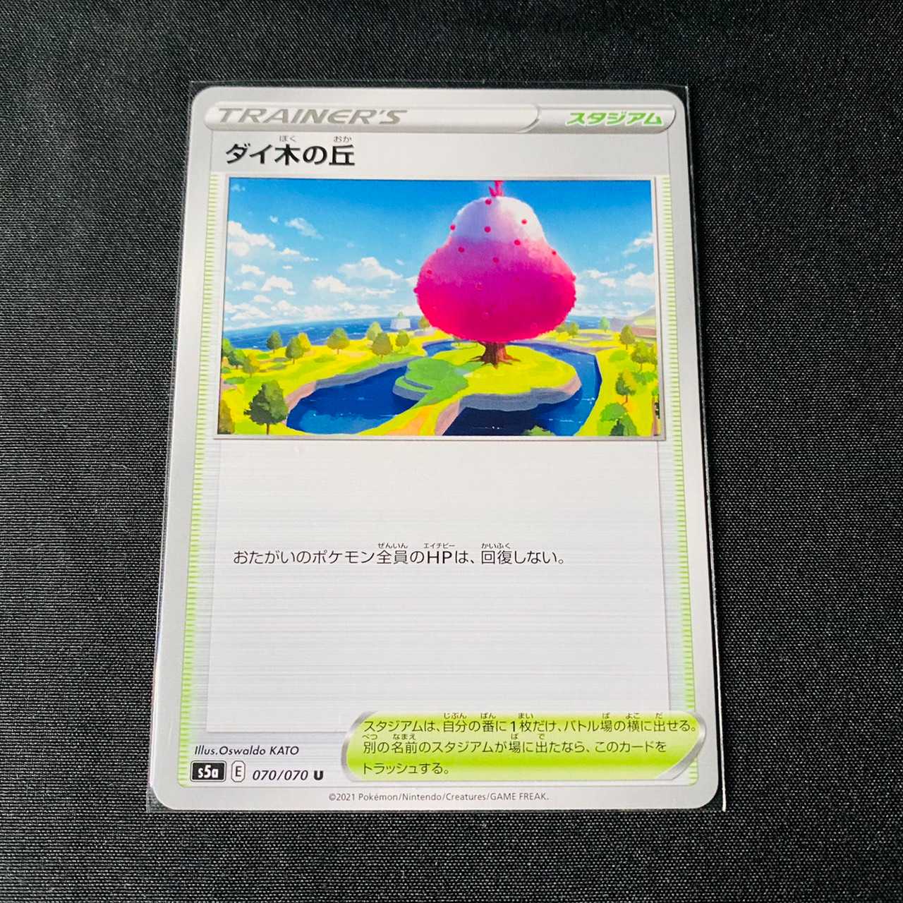 ダイ木の丘 双璧のファイター