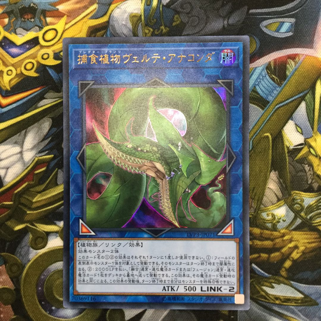 捕食植物ヴェルテ・アナコンダ ウルトラレア【06563-37】