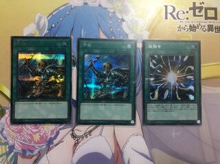 10000種突破記念スペシャルパック