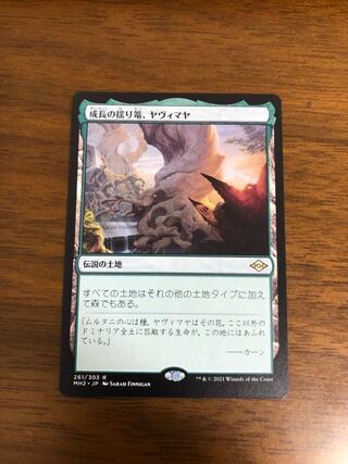 MTG モダンホライゾン2 成長の揺り篭、ヤヴィマヤ　日本語