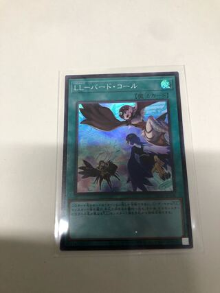 LL-バードコール