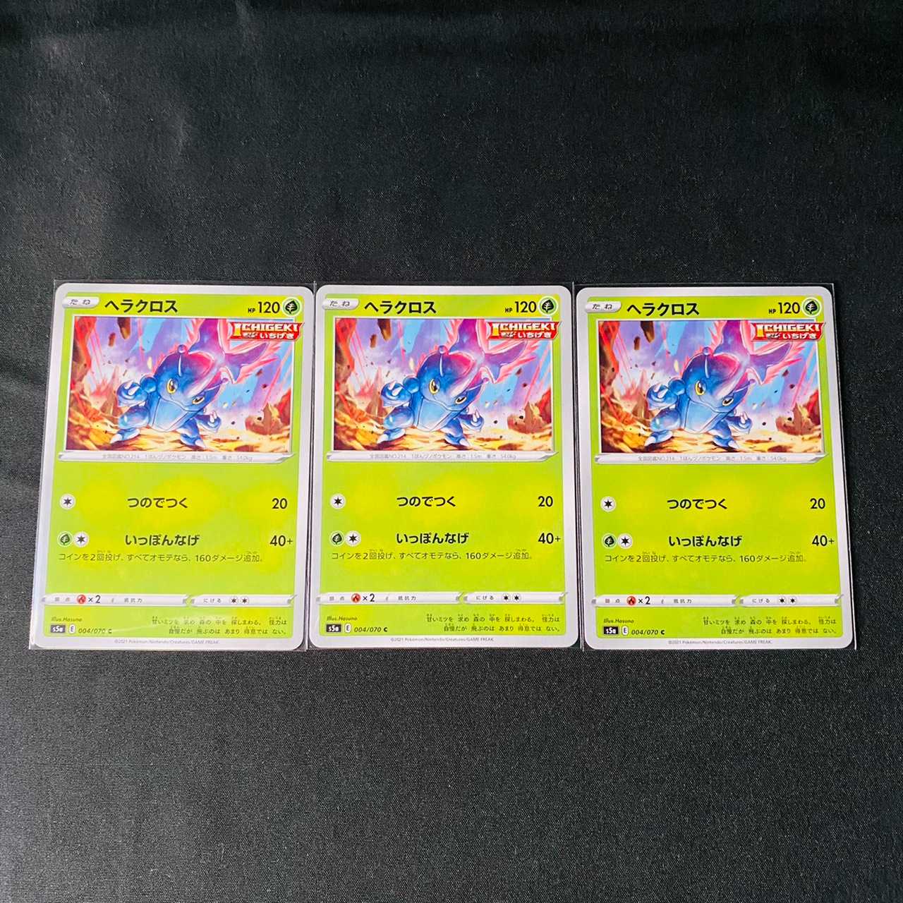 ヘラクロス　双璧のファイター