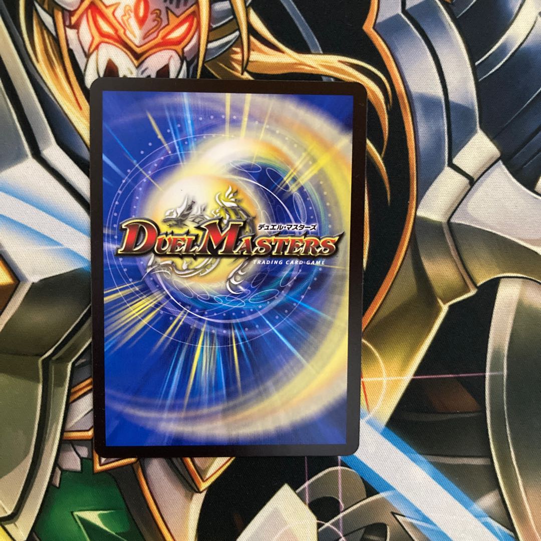 最安値龍風混成 ザーディクリカ