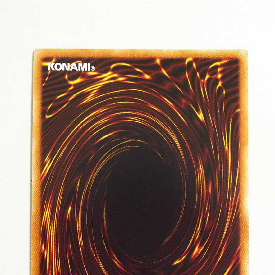 【最安値】 万物創世龍