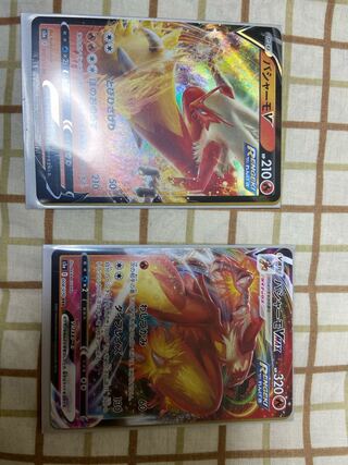 バシャーモ ヌオラサン専用