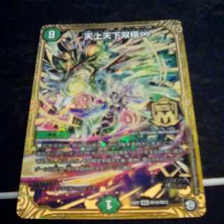 天上天下双極∞