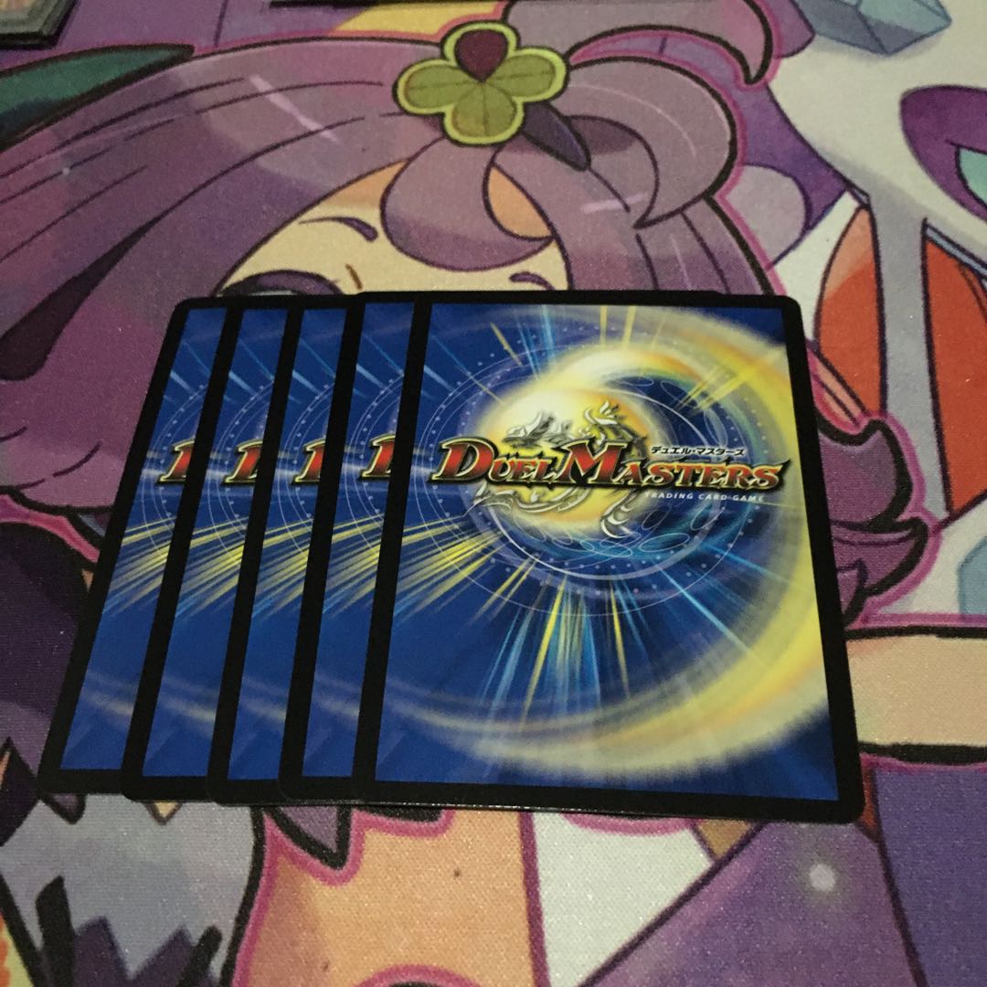 「絶対の楯騎士」