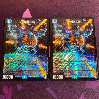 完全不明2 枚セット