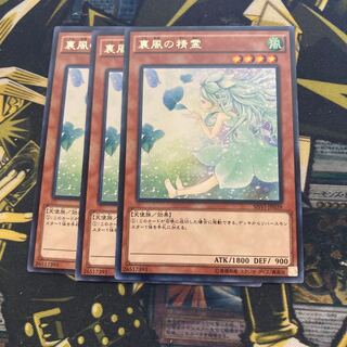 マドレース2101裏風の精霊 レア