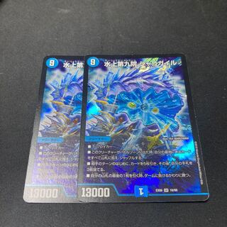 水上第九院 シャコガイル 2枚