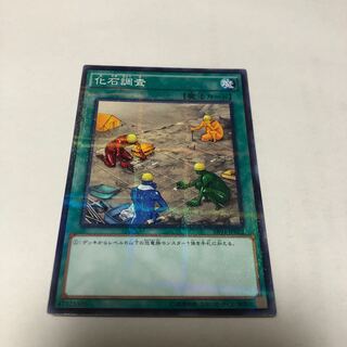 化石調査 パラレル ノーマル