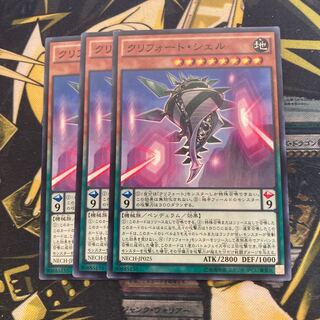 マドレース2081クリフォート・シェル ノーマル