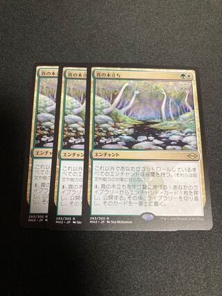 真の木立ち　3枚