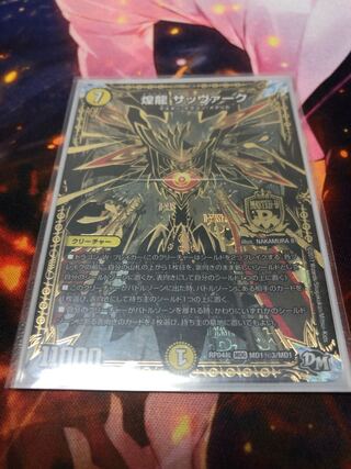 煌龍 サッヴァーク SE