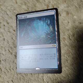 MTG 霧深い雨林　MH2通常版　日本語