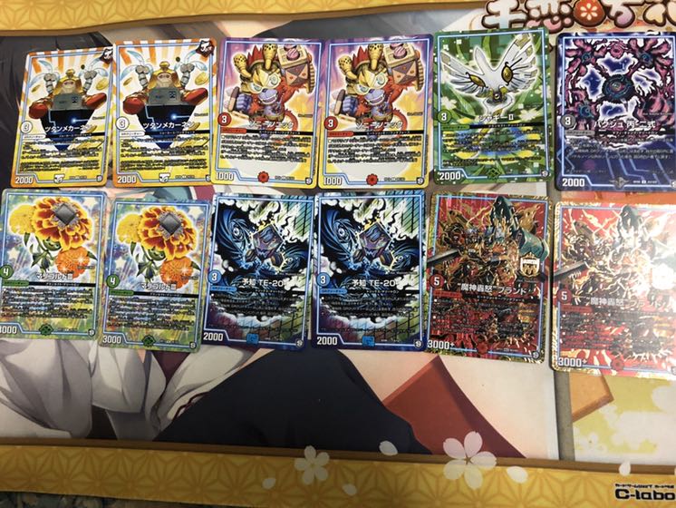 レン様専用今月14日まで ドッカンメルゲ ネイチャーループ