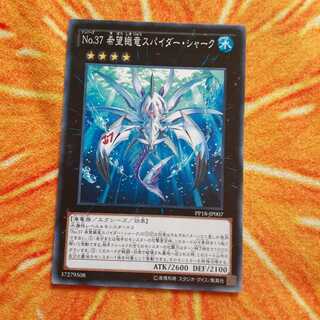 No.37 希望織竜スパイダー・シャーク
