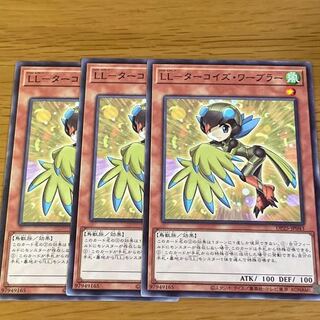 LL-ターコイズ・ワーブラー ノーマル　三枚