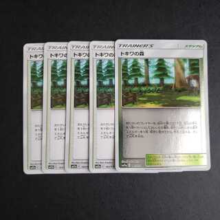 トキワの森　キラ