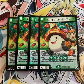 タマタンゴ・パンツァー　4枚