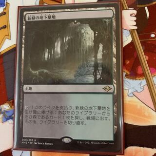 新緑の地下墓地 1枚