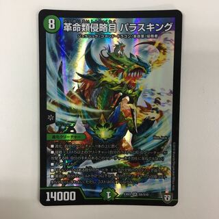 革命類侵略目 パラスキング