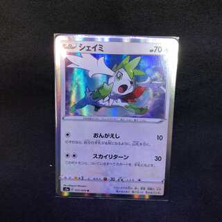 シェイミ　双璧のファイター