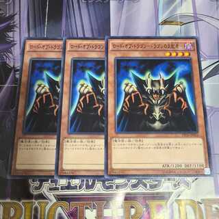 ロード・オブ・ドラゴン-ドラゴンの支配者- ノーマル　3枚