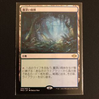 【JP】《霧深い雨林/Misty Rainforest》[MH2] 土地R