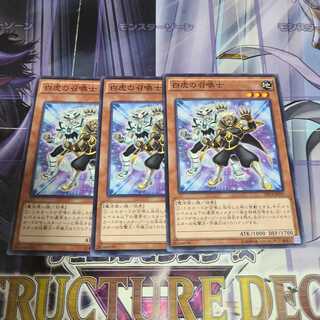 白虎の召喚士 ノーマル　3枚