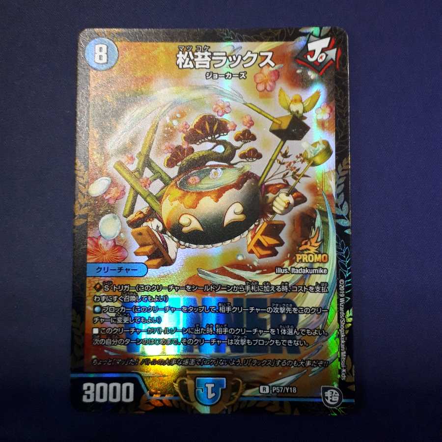 最安値！松苔ラックスプロモ