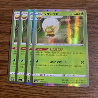 即日発送 ワタシラガ(キラ) わたはこび