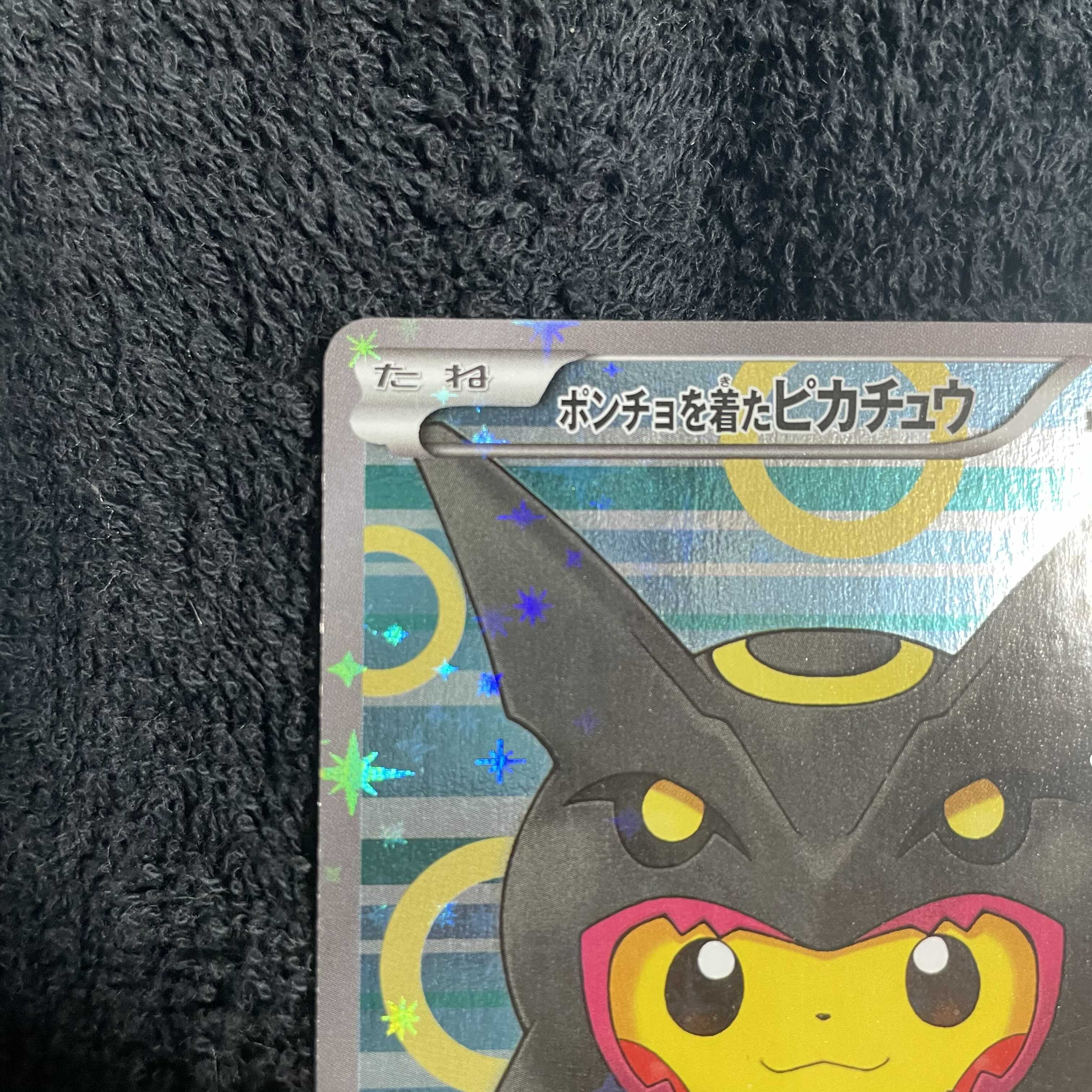 ポンチョを着たピカチュウ　レックウザ