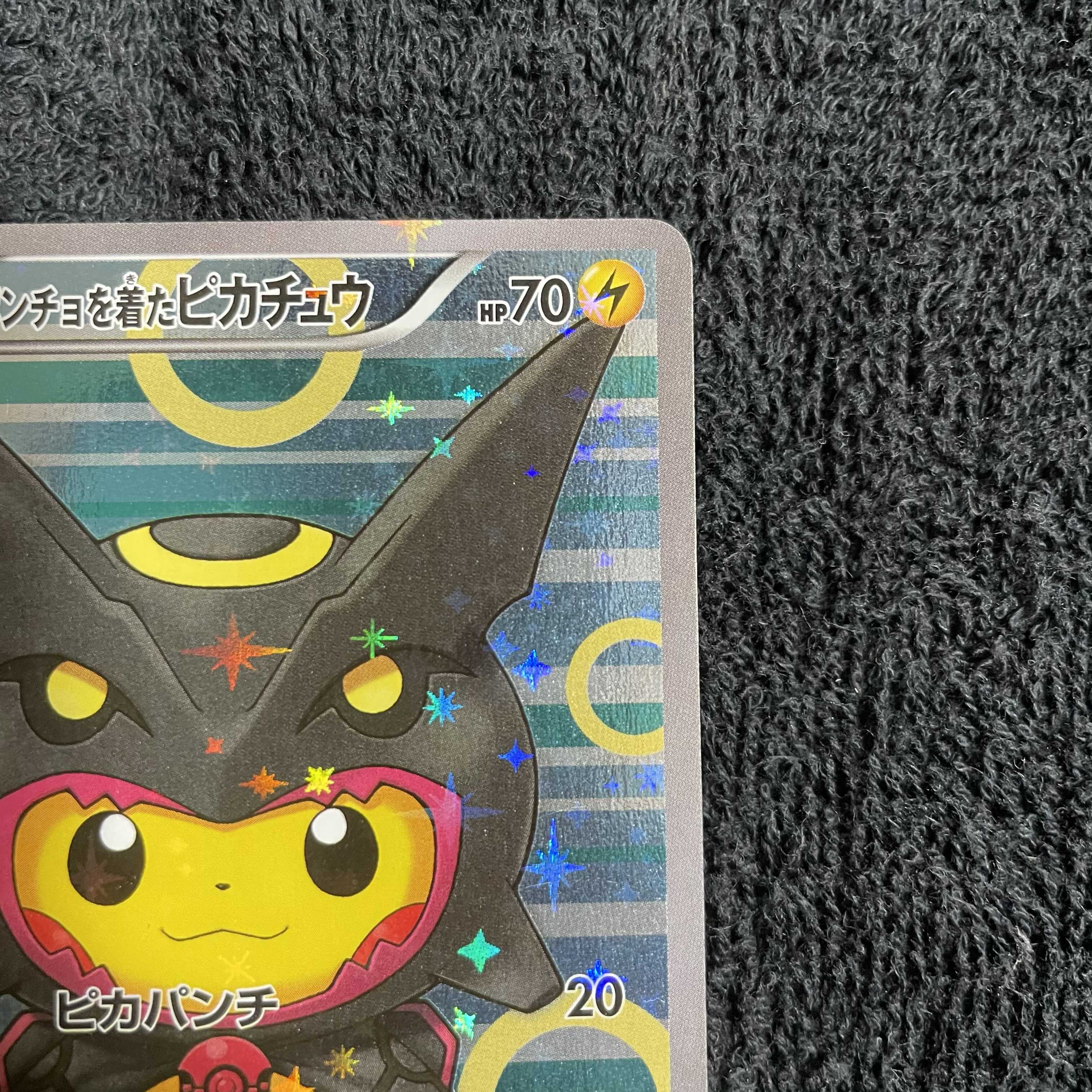 ポンチョを着たピカチュウ　レックウザ