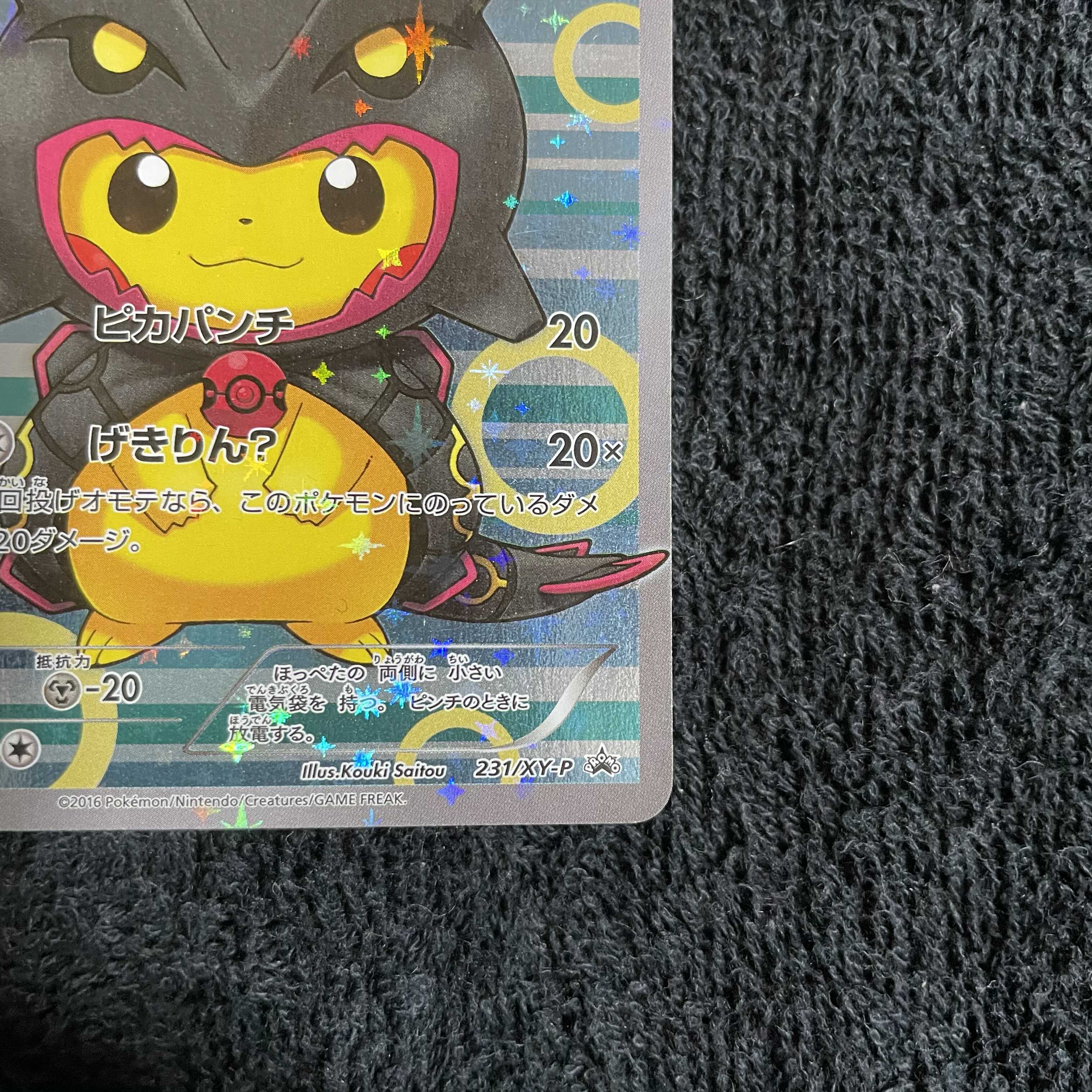 ポンチョを着たピカチュウ　レックウザ