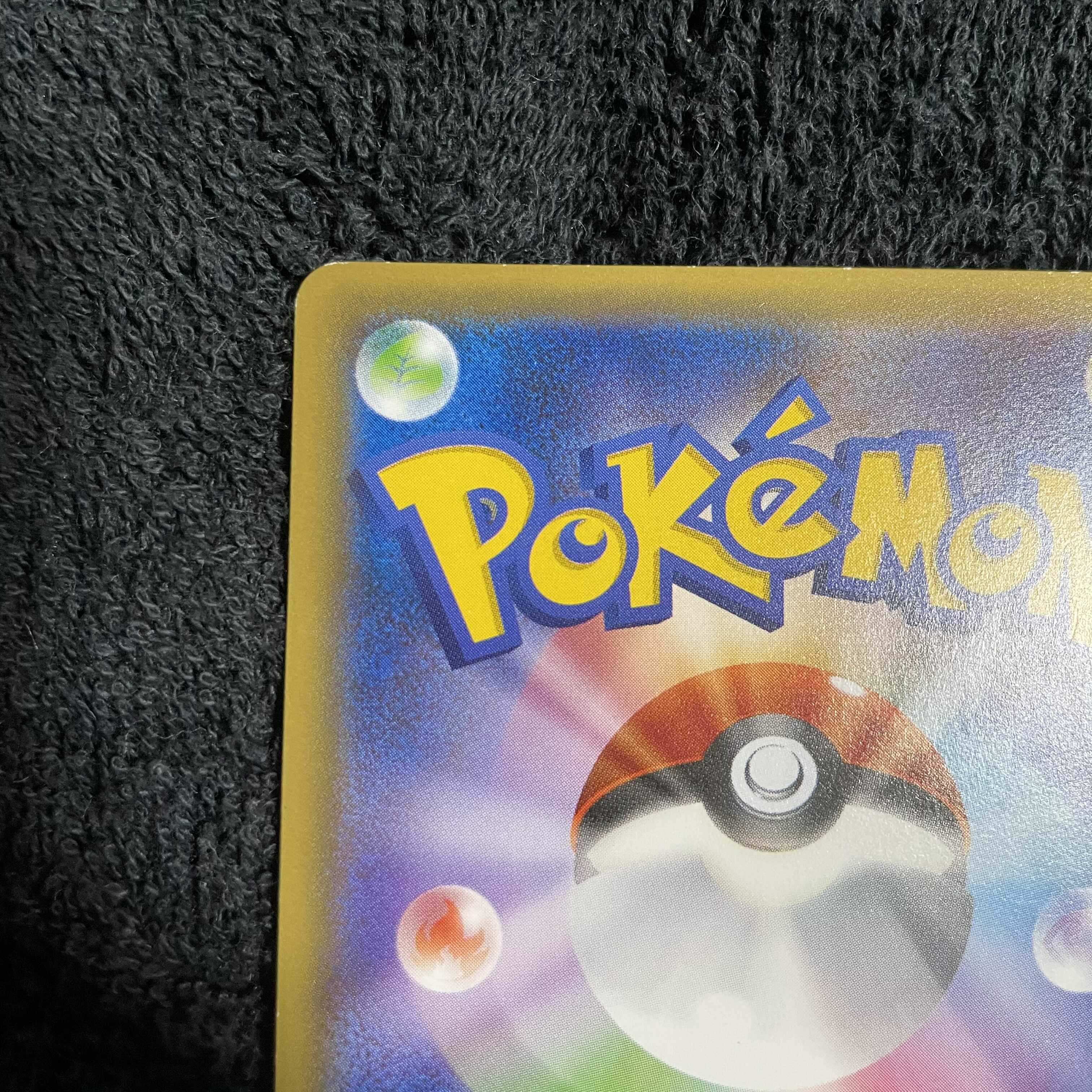 ポンチョを着たピカチュウ　レックウザ