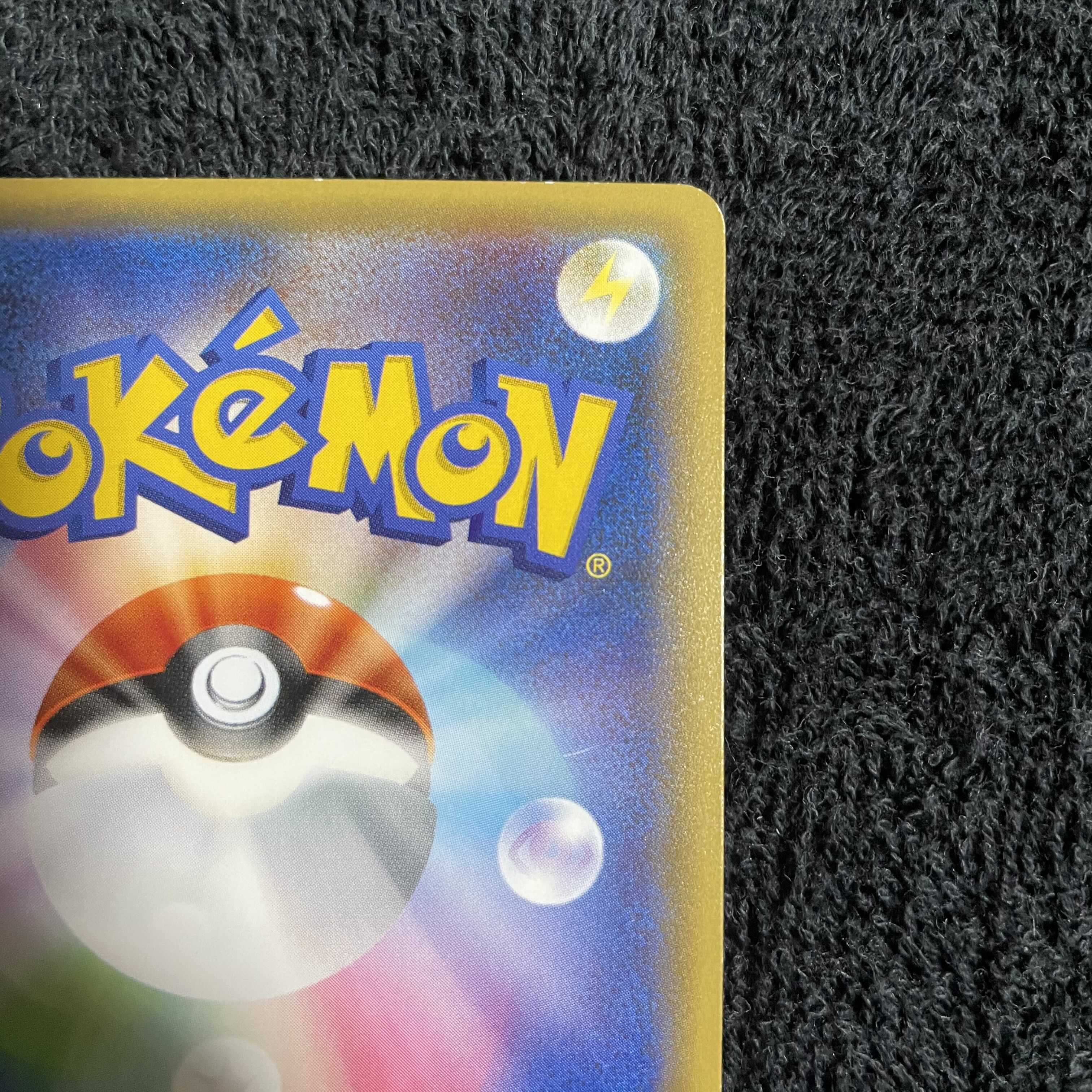 ポンチョを着たピカチュウ　レックウザ