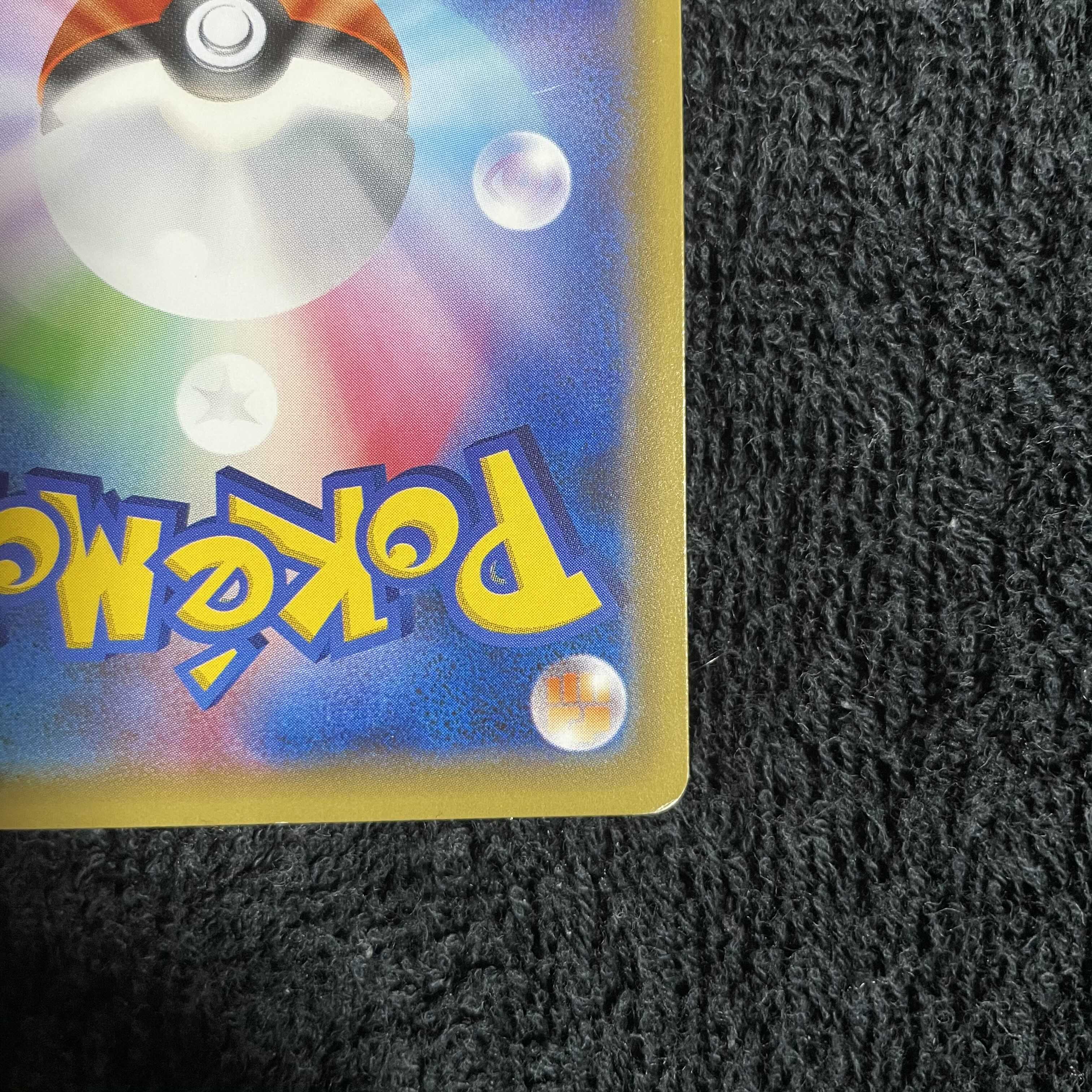 ポンチョを着たピカチュウ　レックウザ