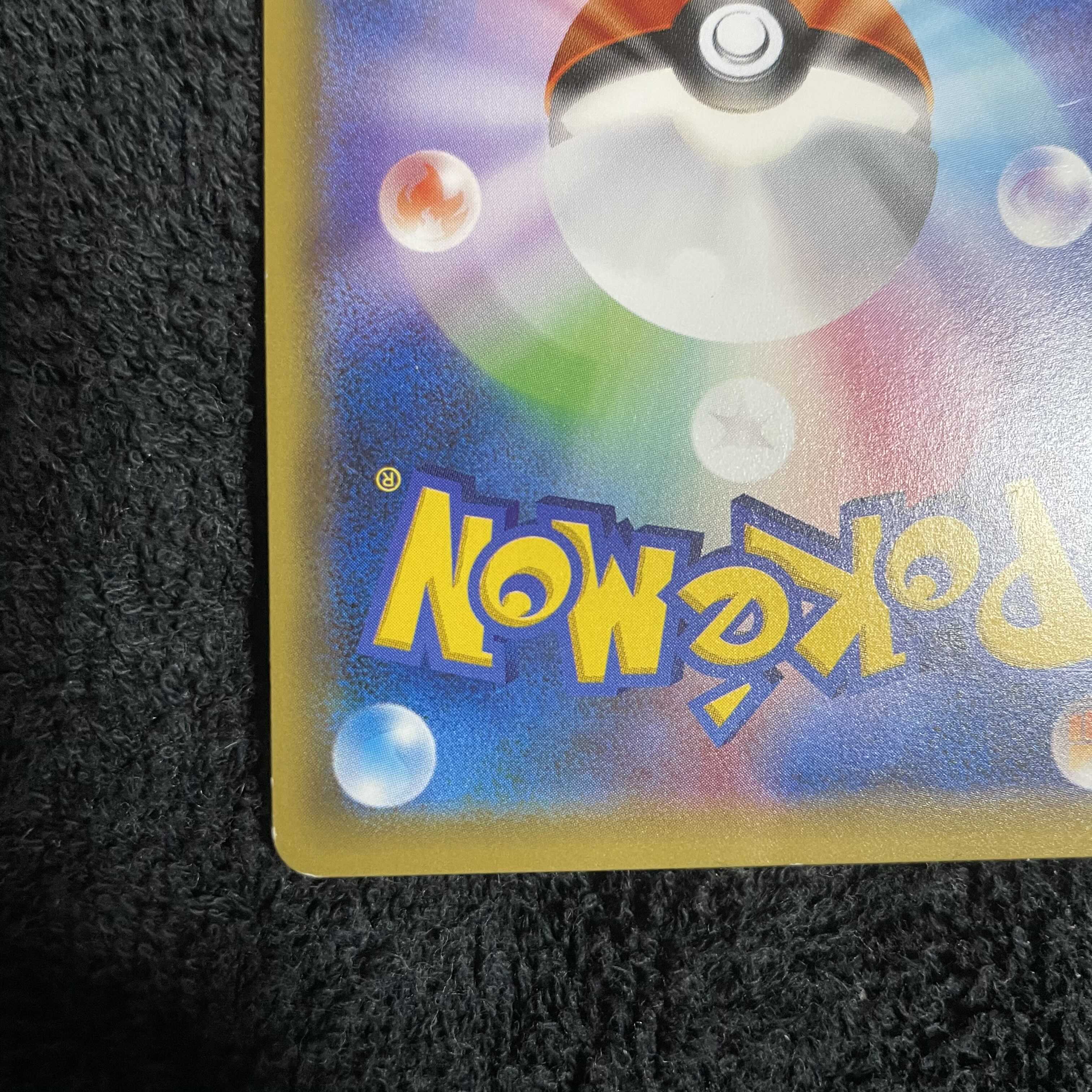 ポンチョを着たピカチュウ　レックウザ