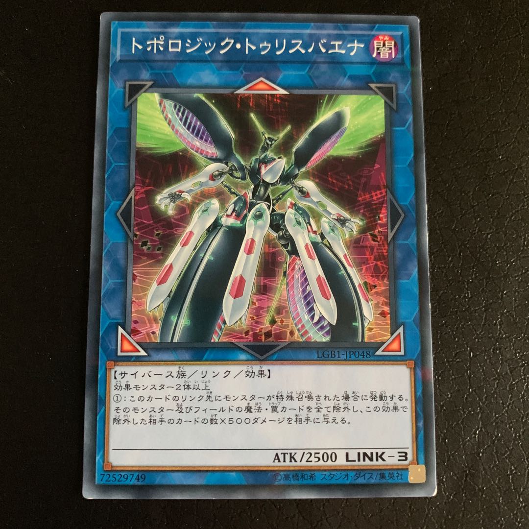 トポロジック・トゥリスバエナ パラレル ノーマル