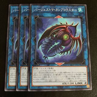 バージェストマ・カンブロラスター ノーマル