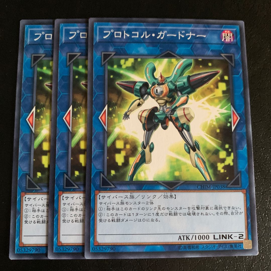 プロトコル・ガードナー ノーマル