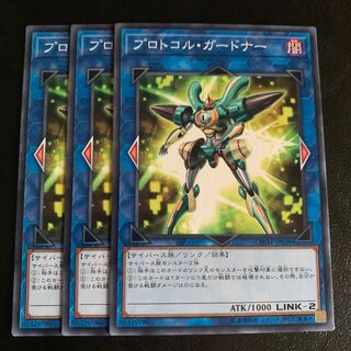 プロトコル・ガードナー ノーマル